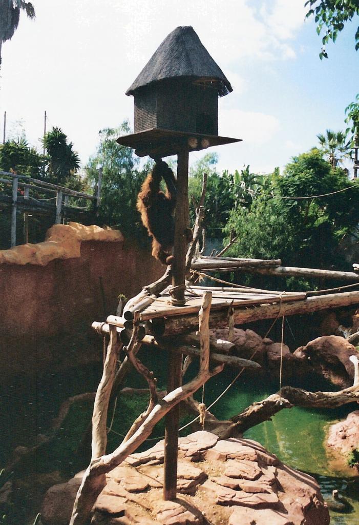 Foto de Arona (Santa Cruz de Tenerife), España