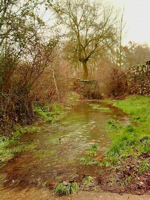 Foto de Puercas de Aliste (Zamora), España