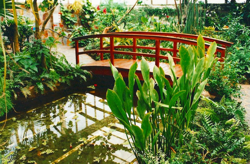 Foto de Icod de los Vinos (Santa Cruz de Tenerife), España