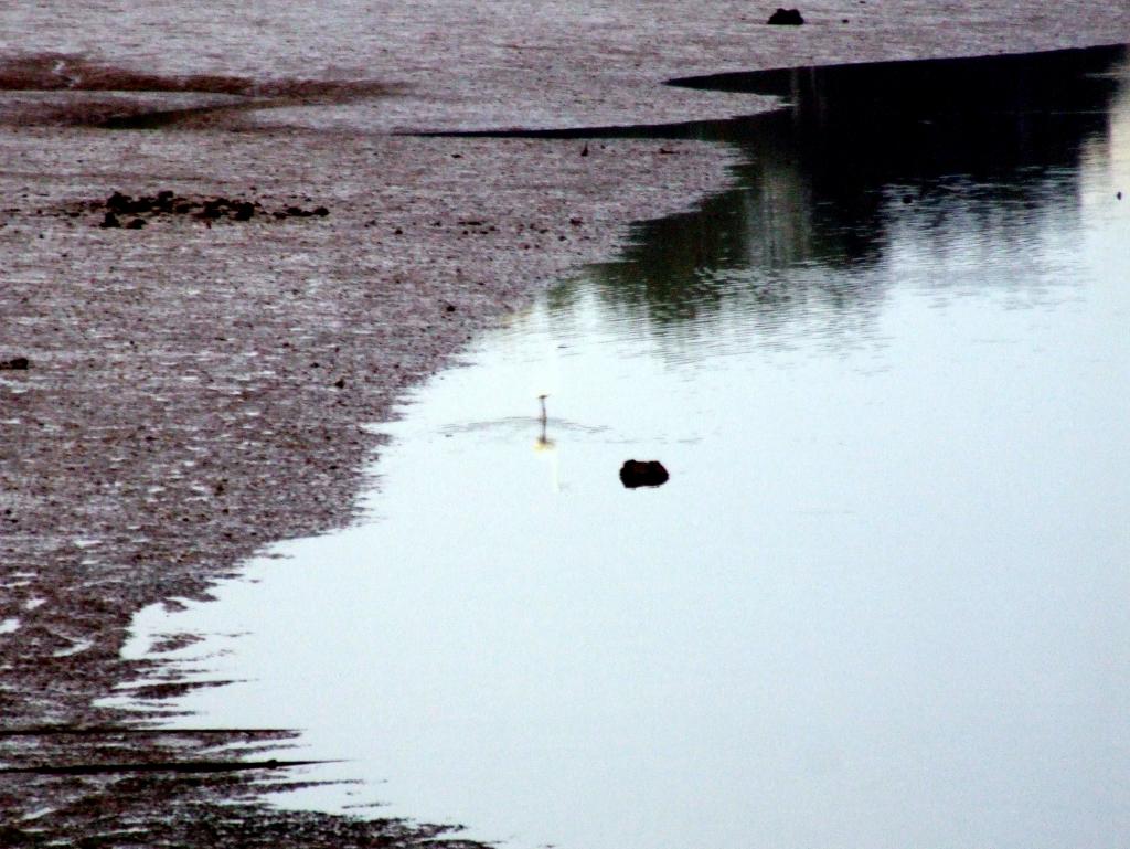Foto de Parayas (Cantabria), España
