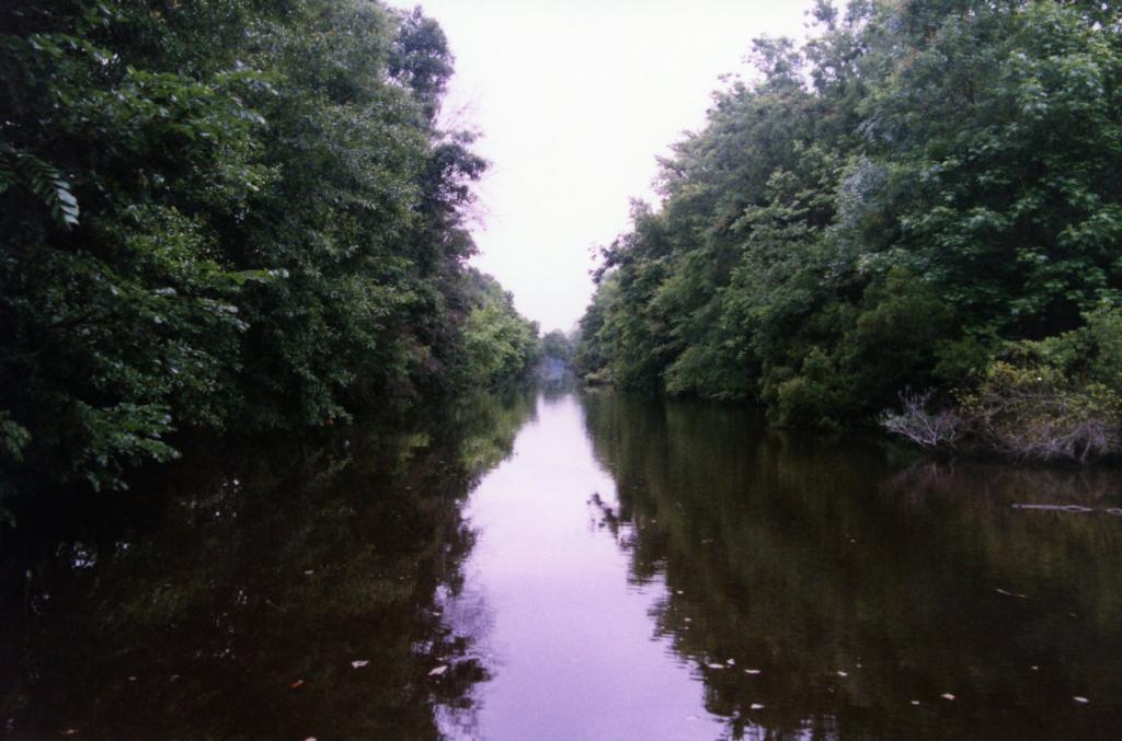 Foto de Nueva Orleans (Louisiana), Estados Unidos