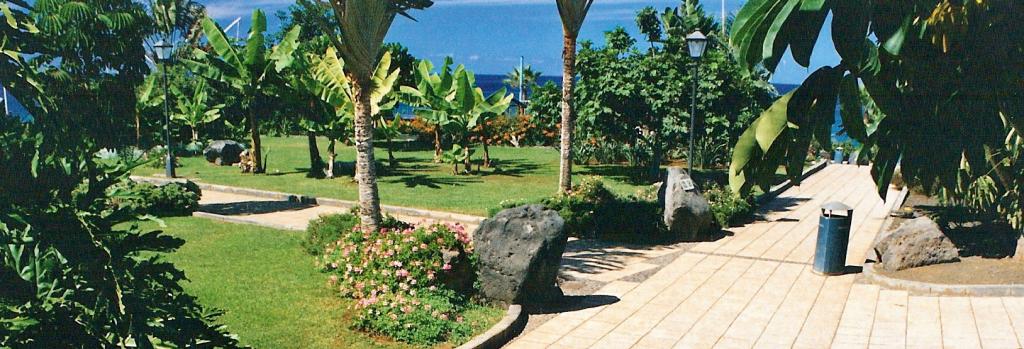 Foto de Puerto de la Cruz (Santa Cruz de Tenerife), España