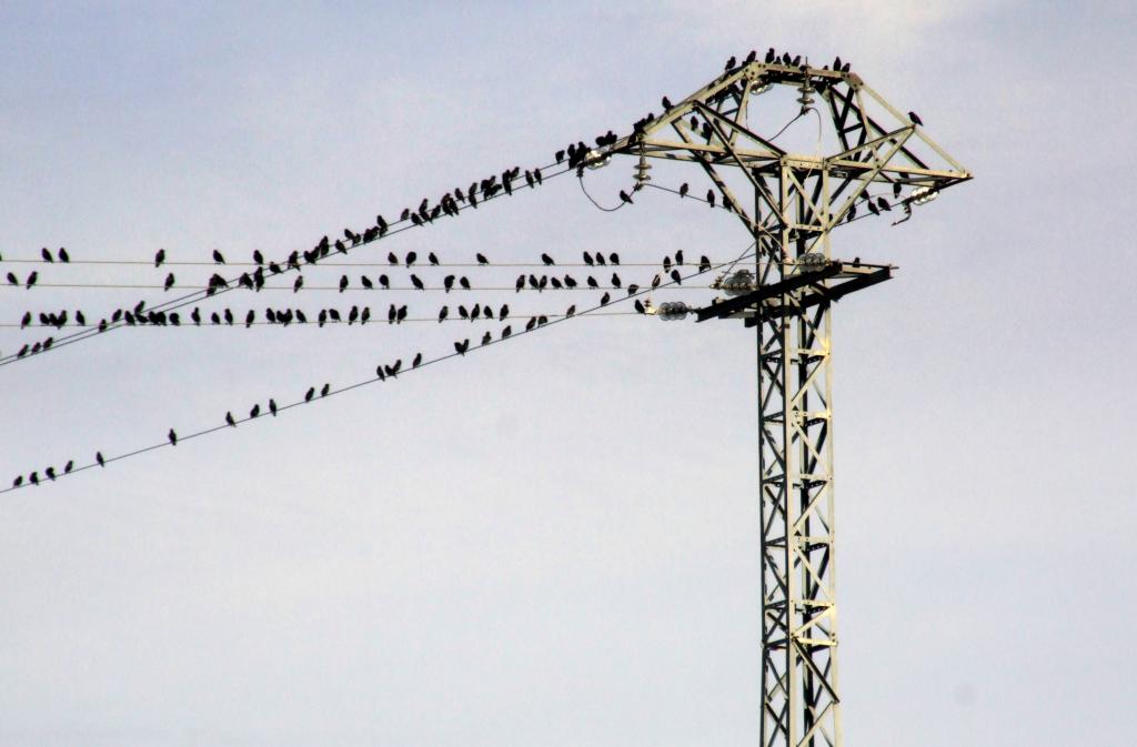 Foto de Balazote (Albacete), España
