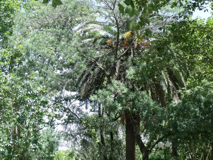 Foto de Claypole, Argentina