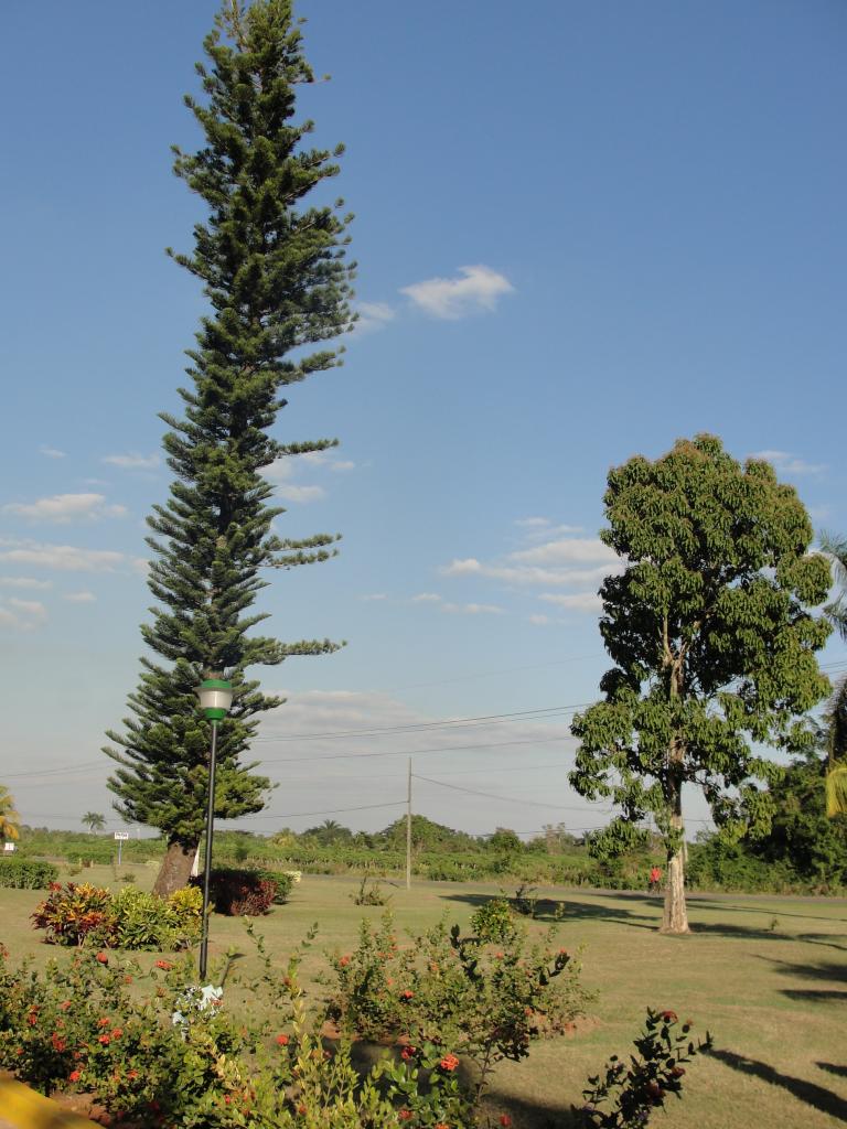 Foto de Bay of Pigs, Cuba