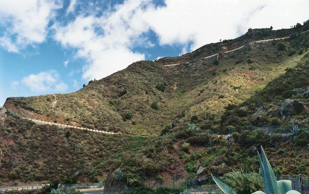 Foto de Taganana (Santa Cruz de Tenerife), España