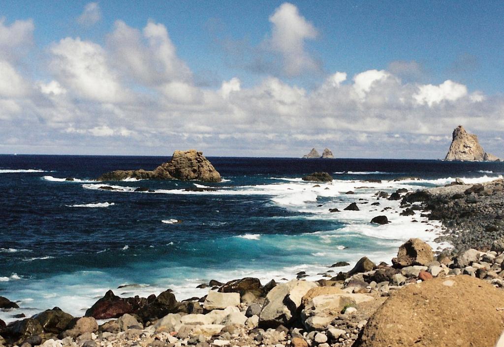 Foto de Almáciga (Santa Cruz de Tenerife), España