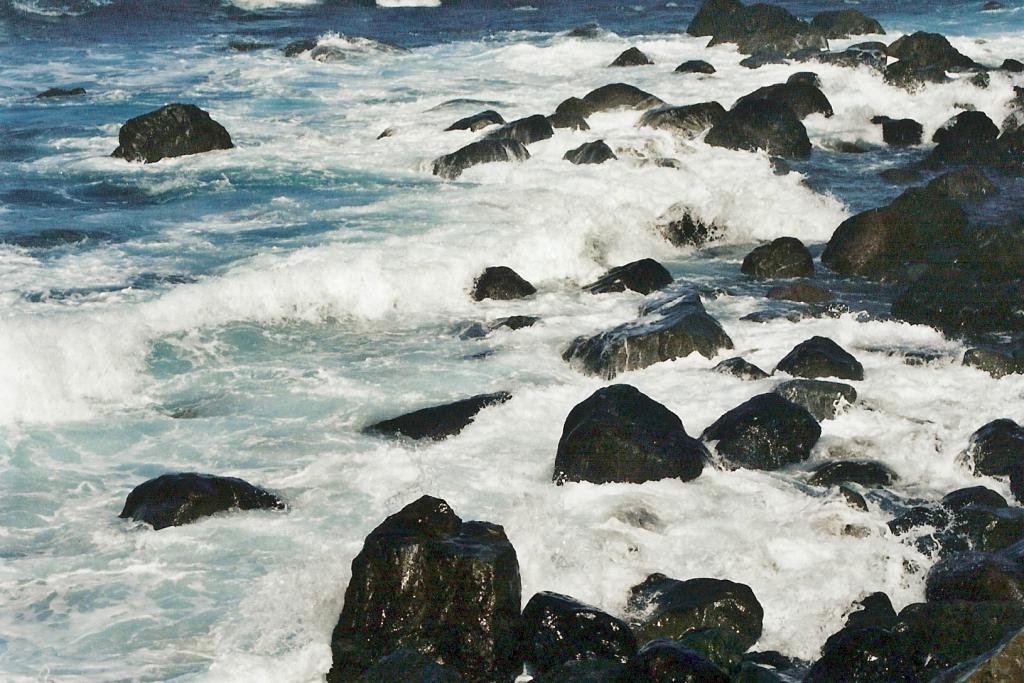 Foto de Almáciga (Santa Cruz de Tenerife), España