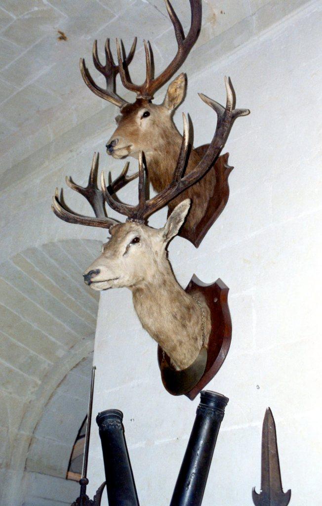 Foto de Brissac, Francia