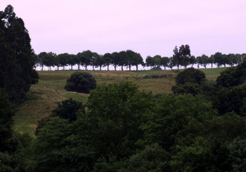 Foto de Parbayon (Cantabria), España