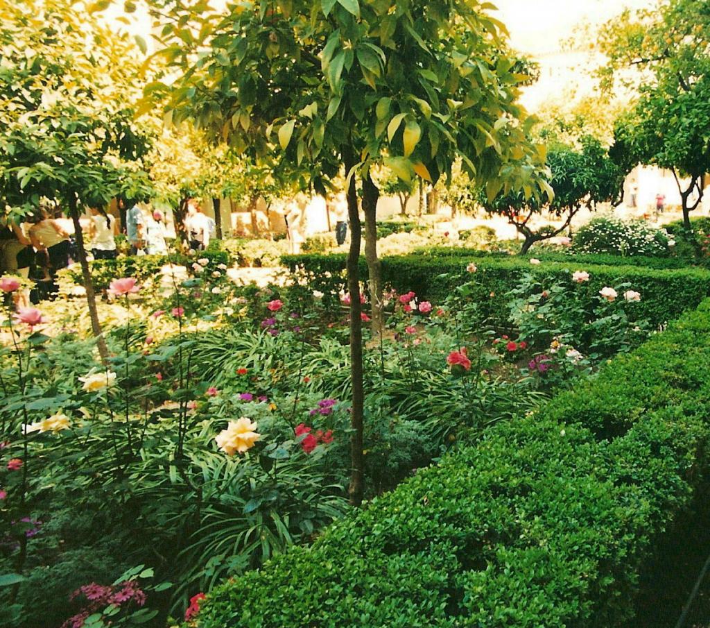 Foto de Córdoba (Andalucía), España