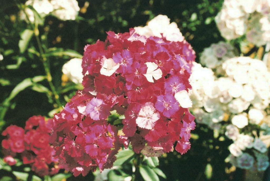 Foto de Córdoba (Andalucía), España