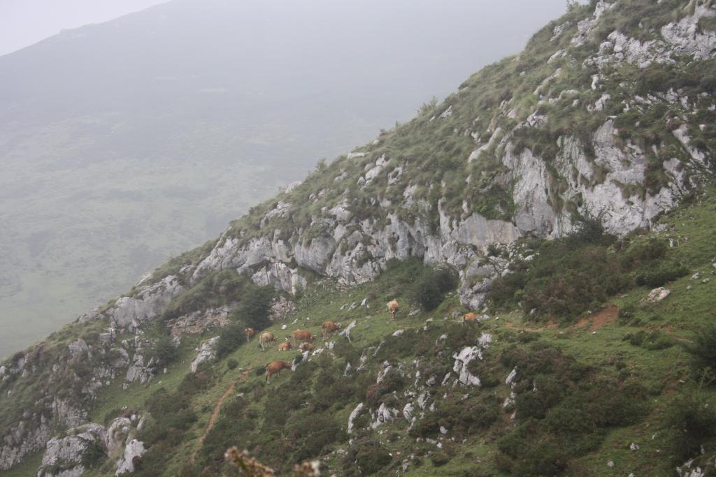 Foto de Cangas de Onís (Asturias), España