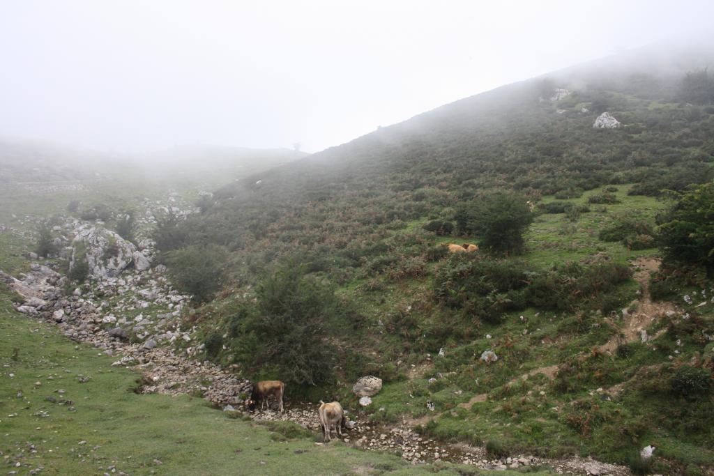 Foto de Cangas de Onís (Asturias), España