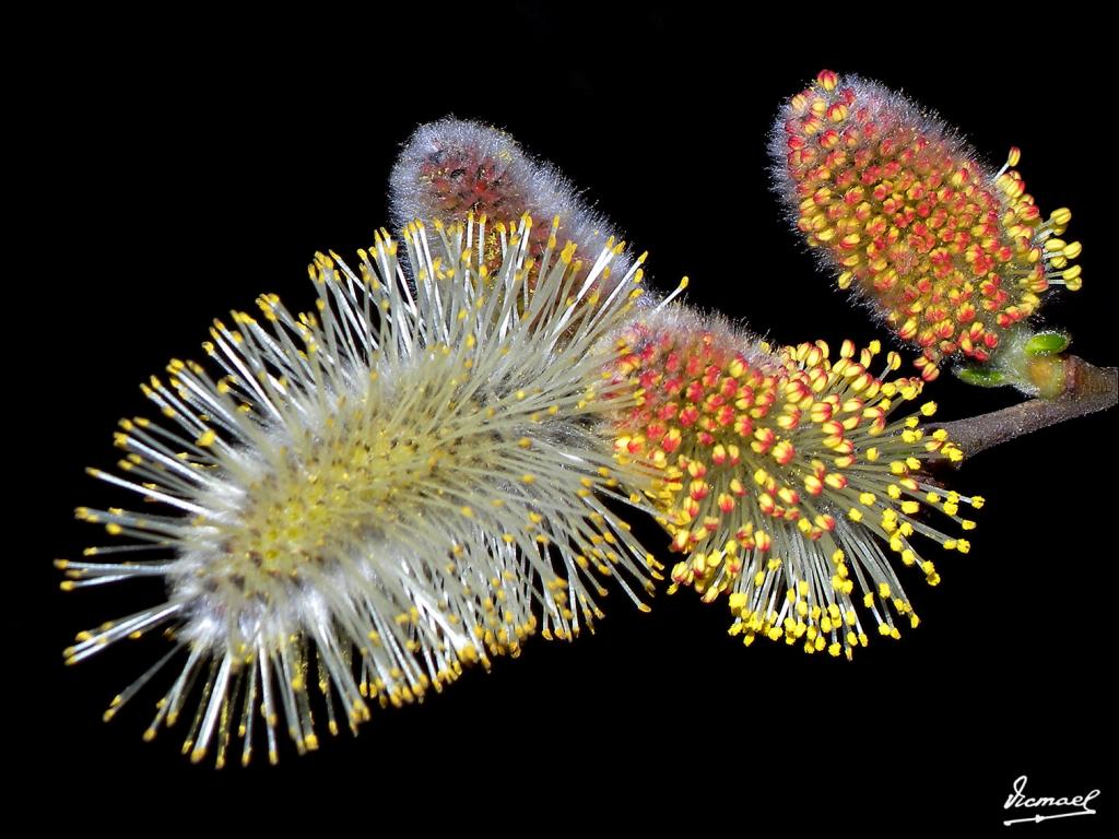 Foto de Zaragoza (Aragón), España