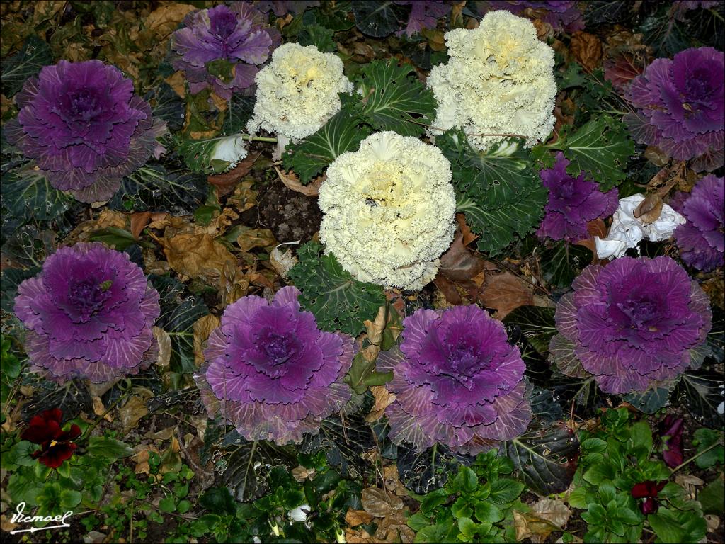 Foto de Zaragoza (Aragón), España