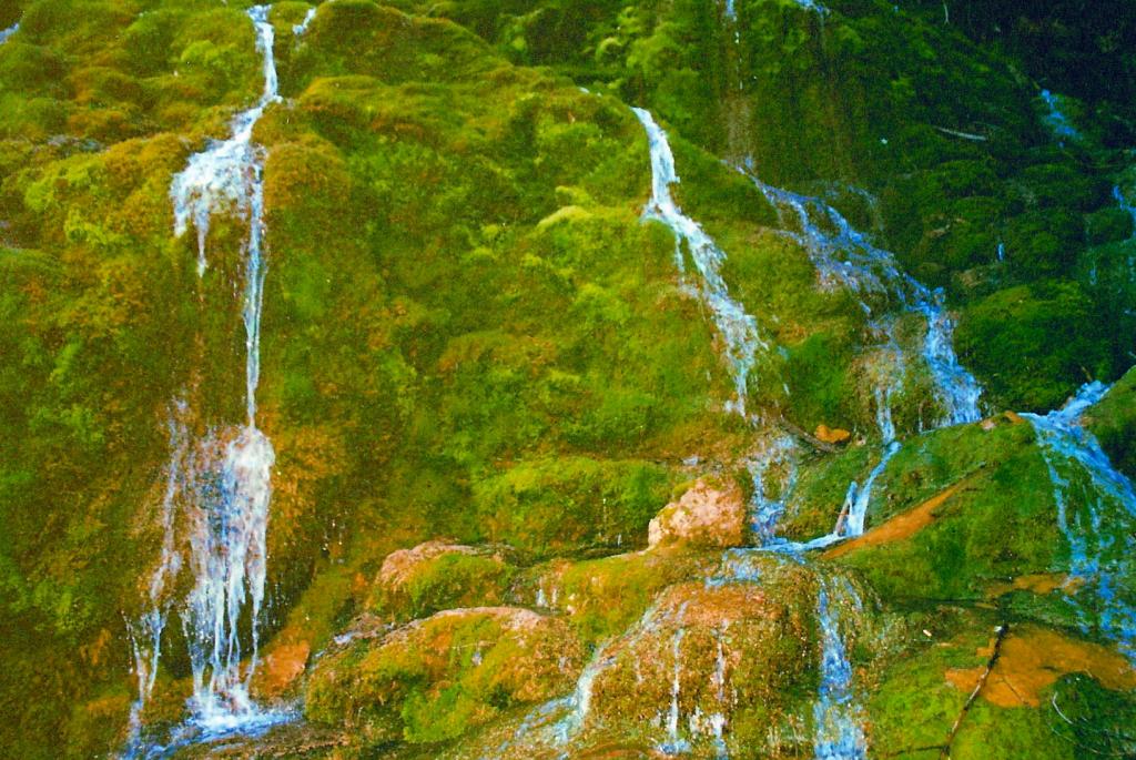 Foto de Vega del Codorno (Cuenca), España