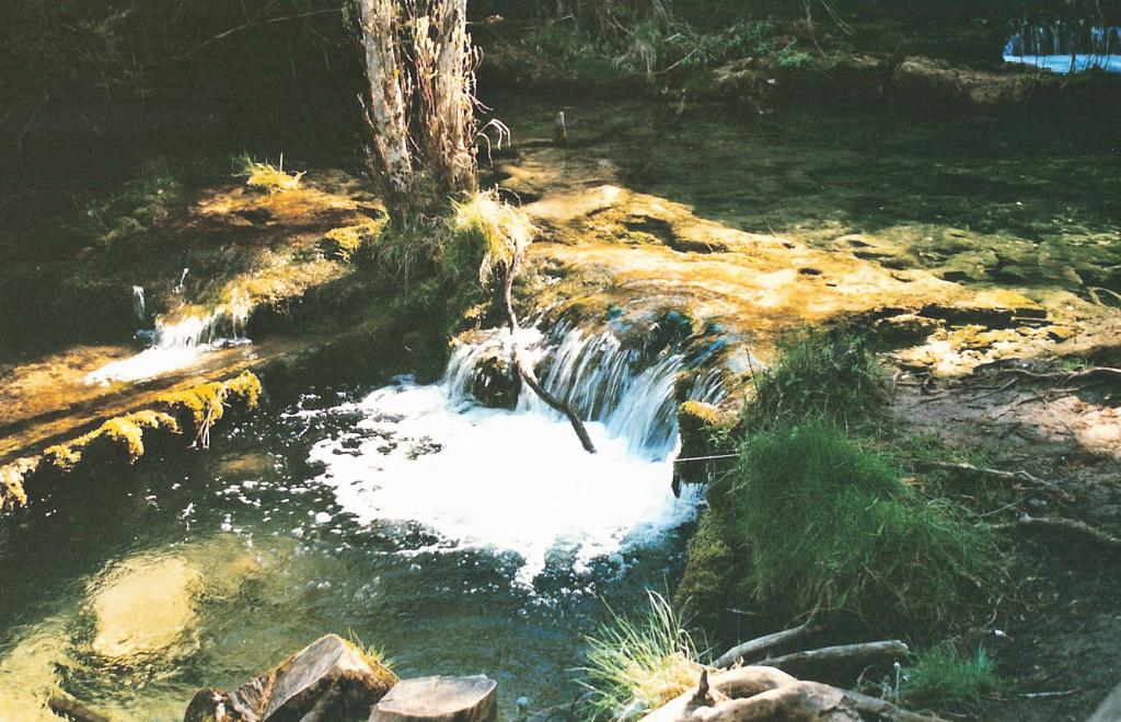 Foto de Vega del Codorno (Cuenca), España