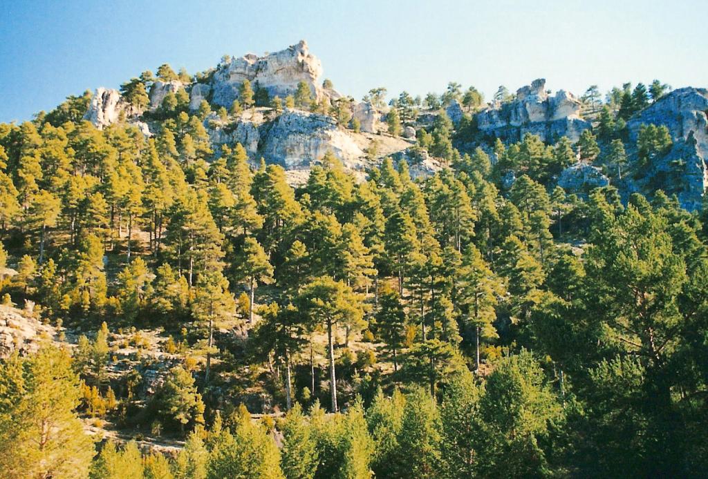 Foto de Vega del Codorno (Cuenca), España
