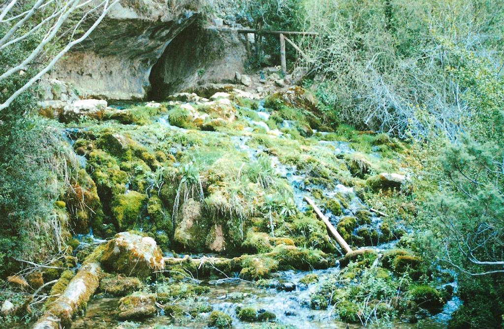 Foto de Vega del Codorno (Cuenca), España