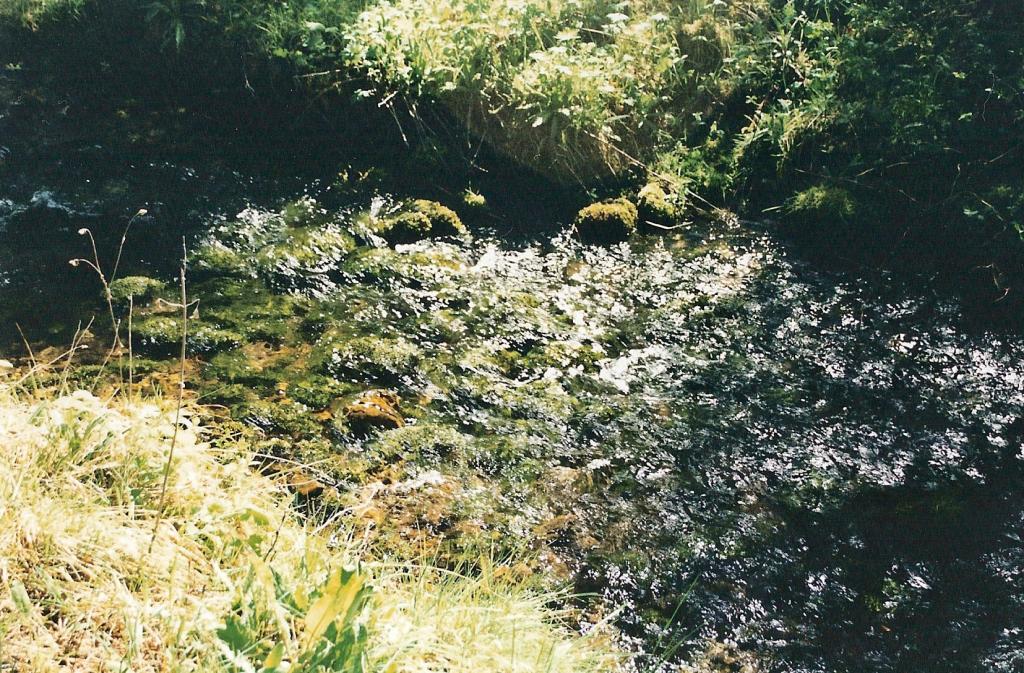 Foto de Vega del Codorno (Cuenca), España