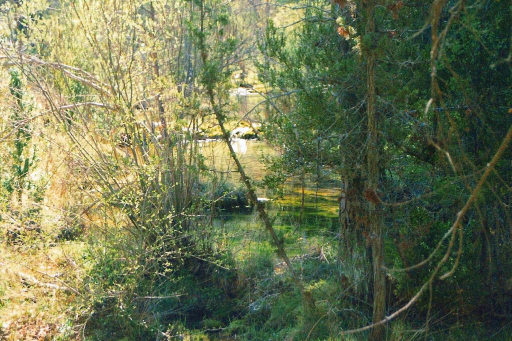 Foto de Vega del Codorno (Cuenca), España