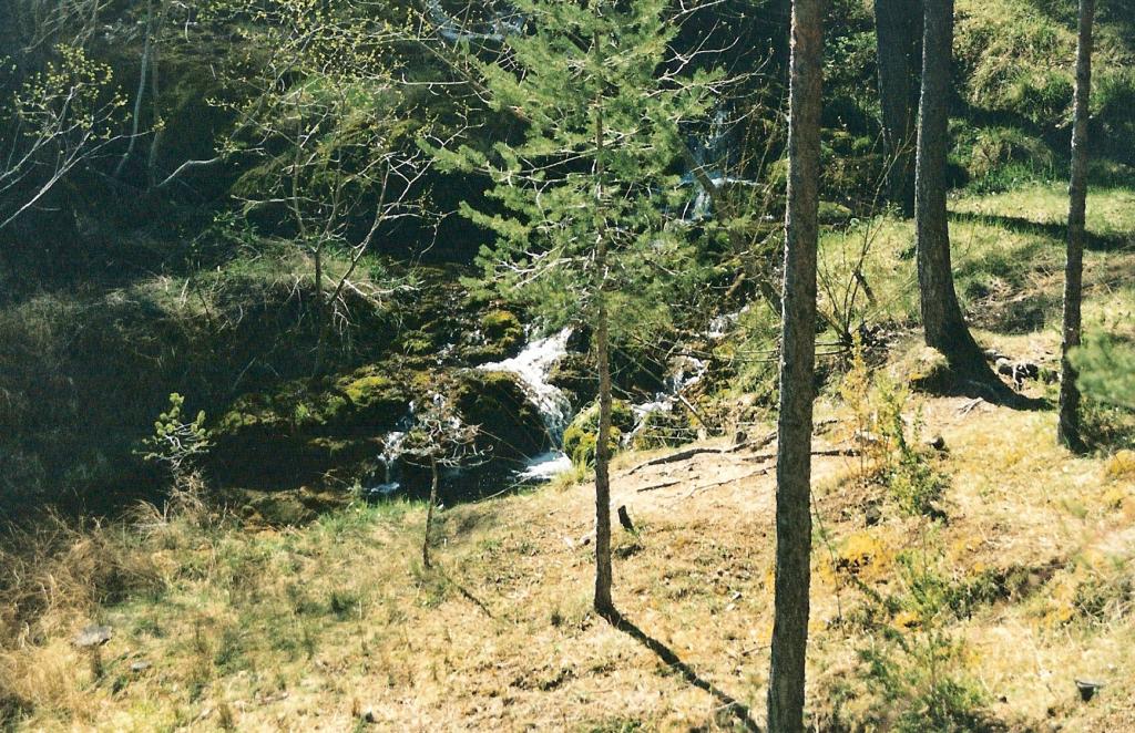 Foto de Vega del Codorno (Cuenca), España
