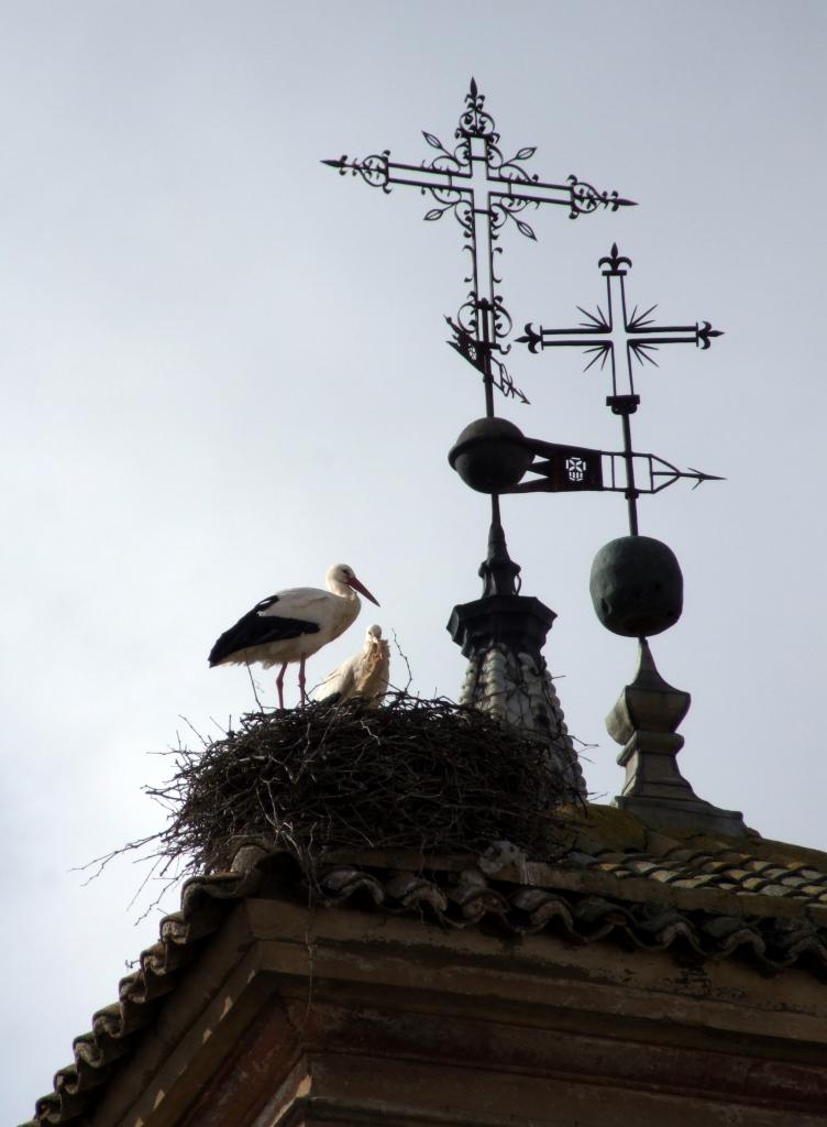 Foto de Herencia (Ciudad Real), España