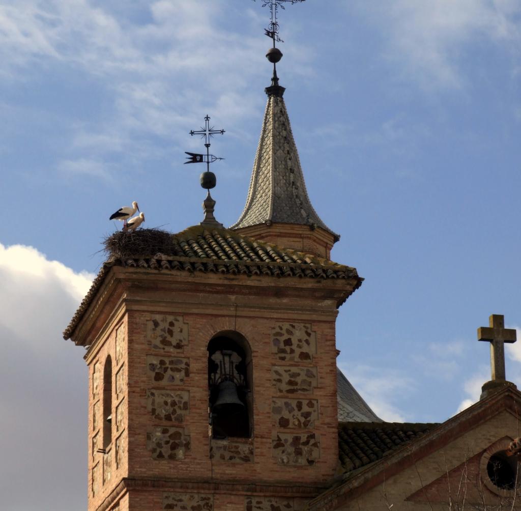 Foto de Herencia (Ciudad Real), España