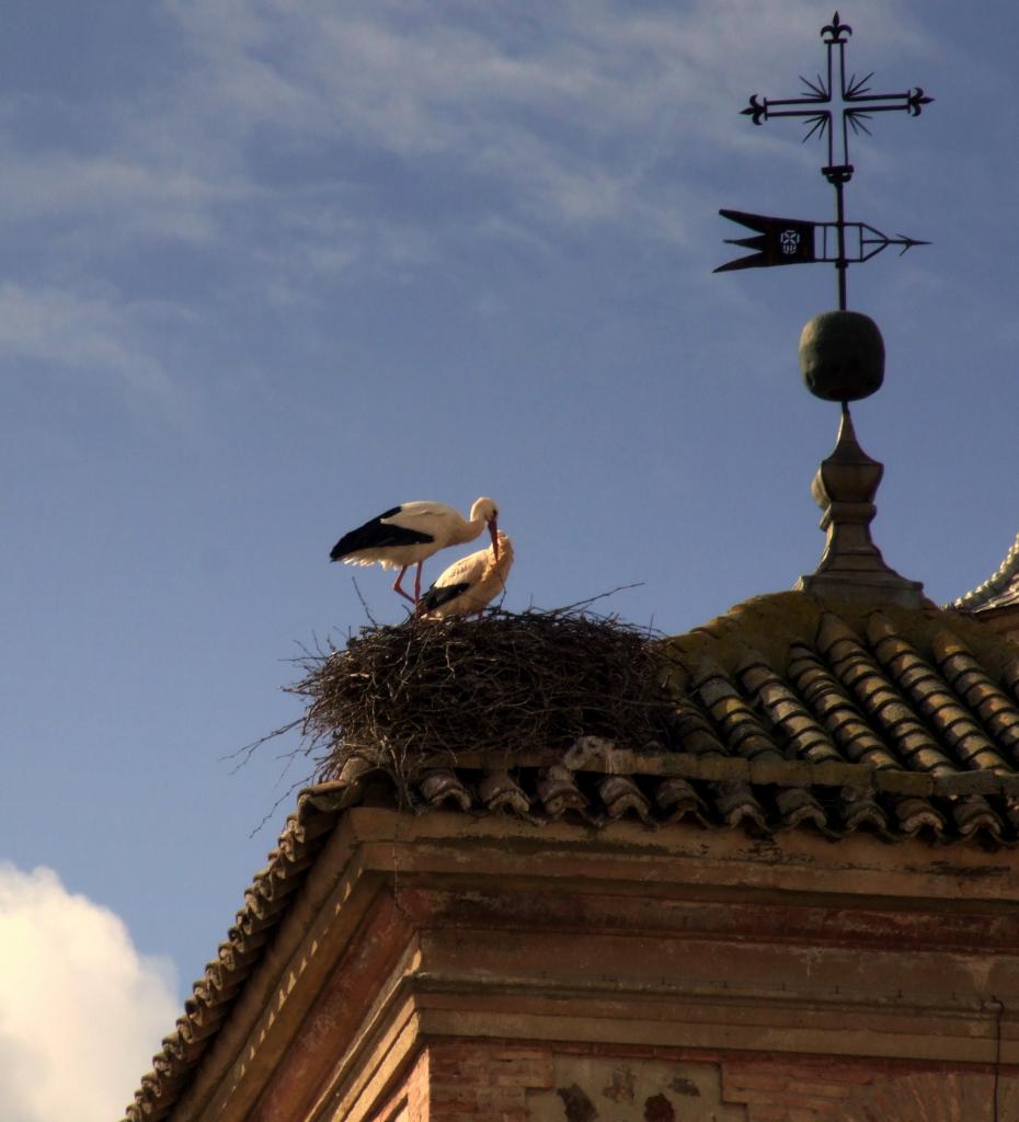 Foto de Herencia (Ciudad Real), España