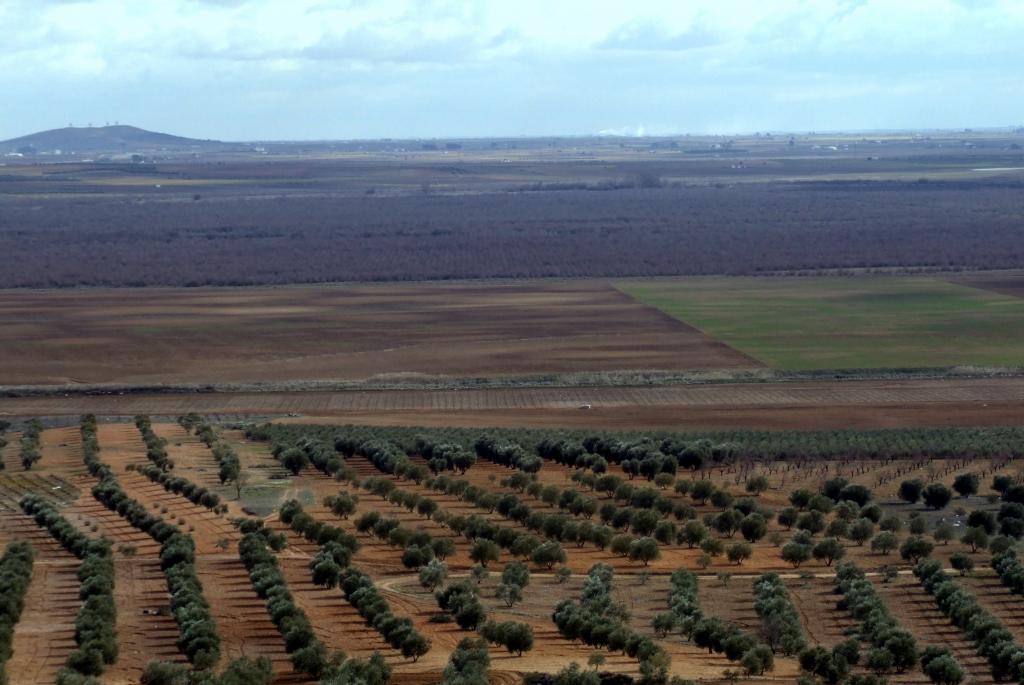 Foto de Herencia (Ciudad Real), España