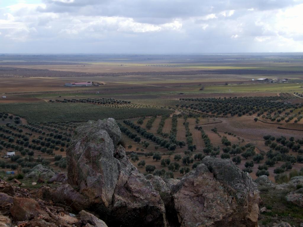 Foto de Herencia (Ciudad Real), España