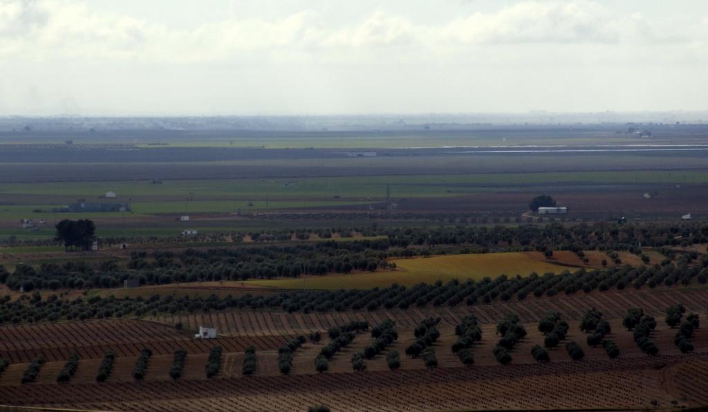 Foto de Herencia (Ciudad Real), España