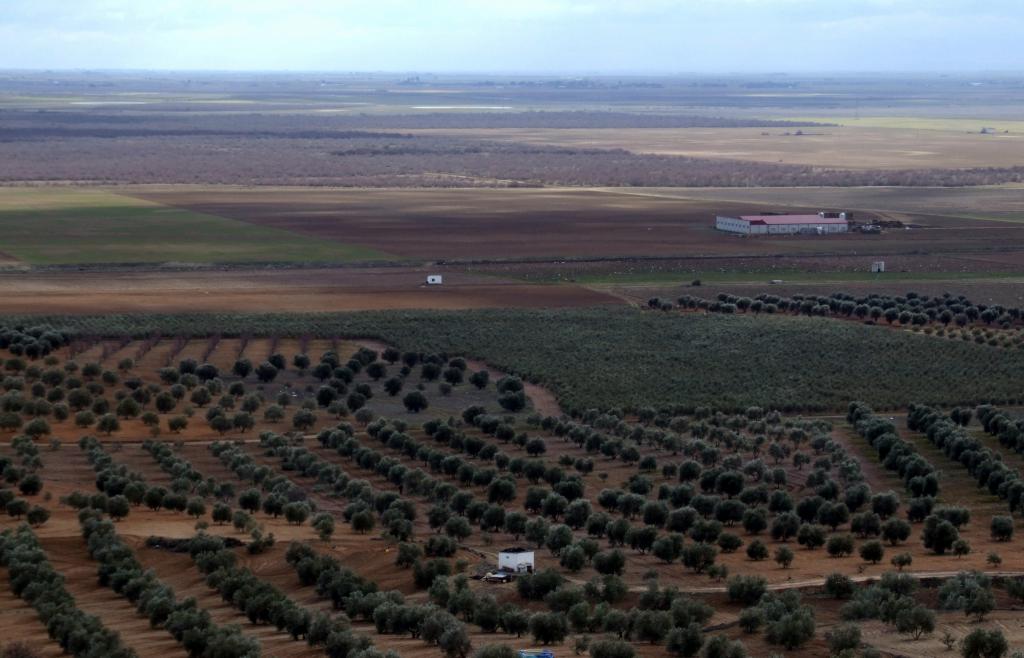 Foto de Herencia (Ciudad Real), España