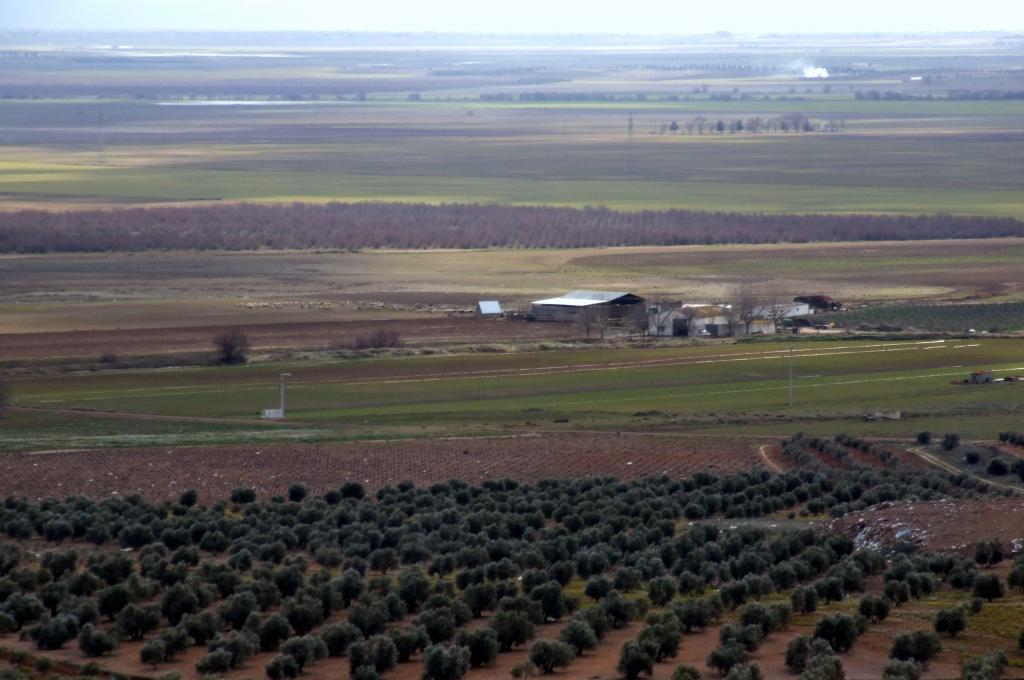 Foto de Herencia (Ciudad Real), España