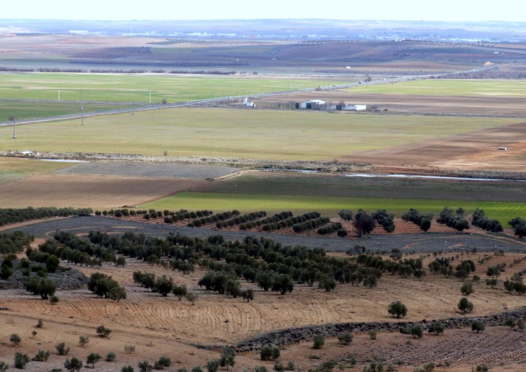 Foto de Herencia (Ciudad Real), España