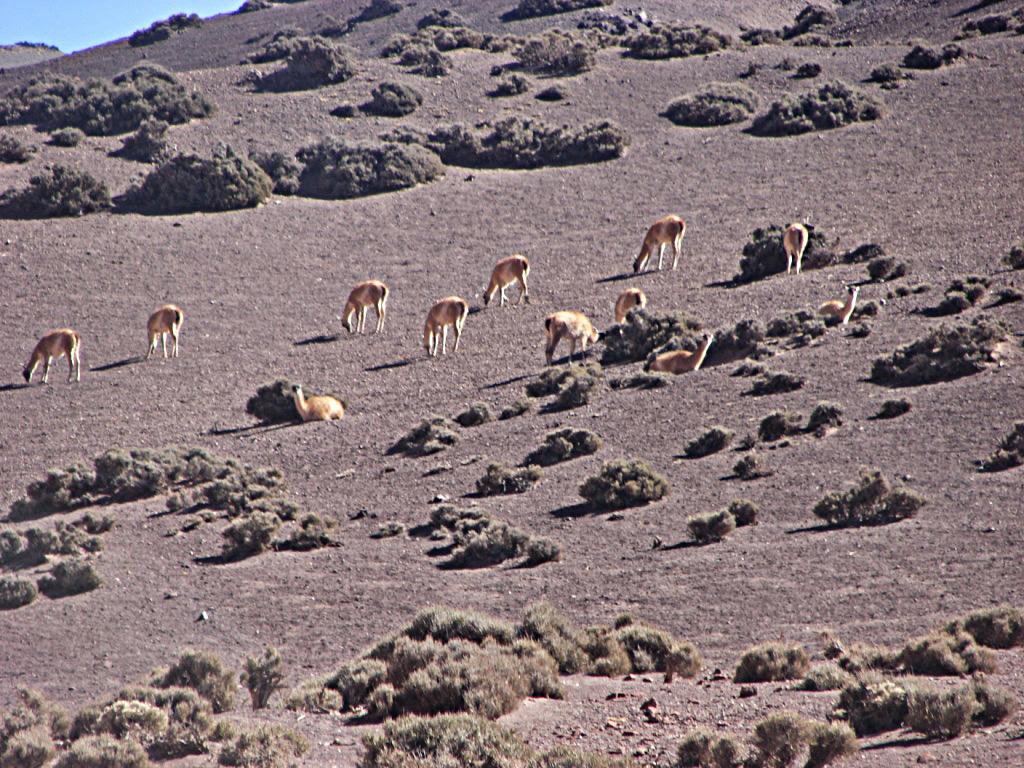 Foto de Jagüe, Argentina