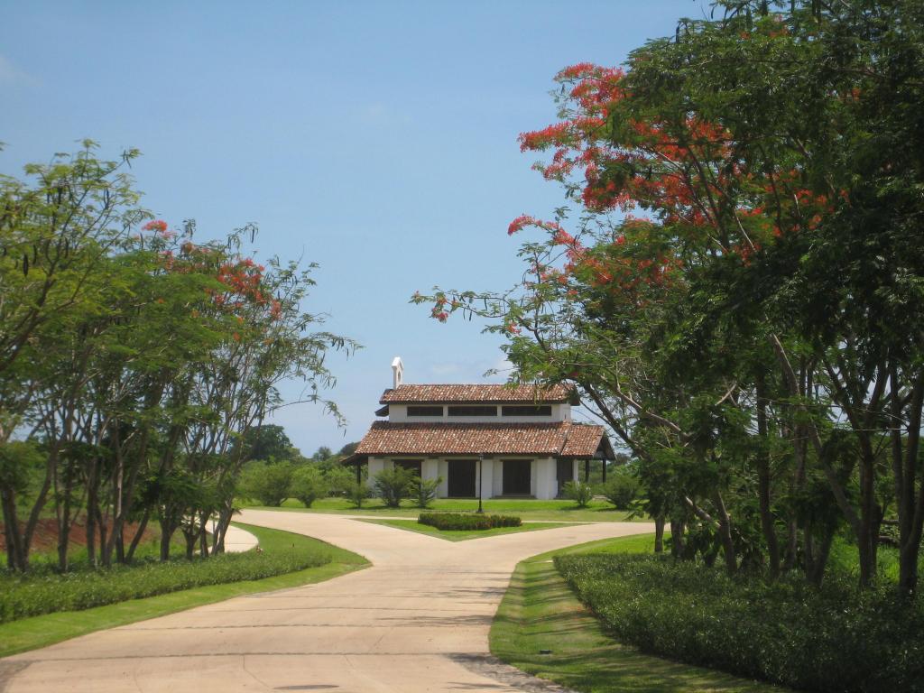 Foto de Guanacaste (Santa Cruz), Costa Rica