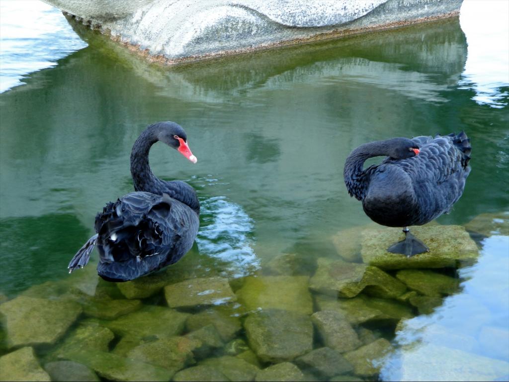 Foto de Lisboa, Portugal