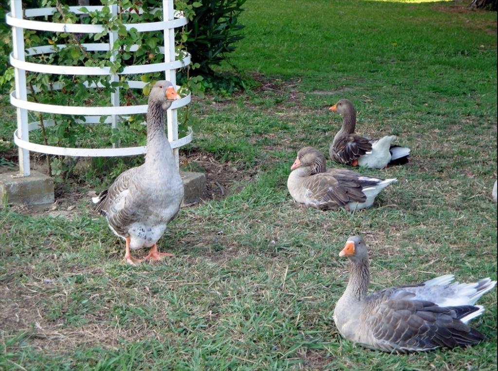 Foto de Lisboa, Portugal