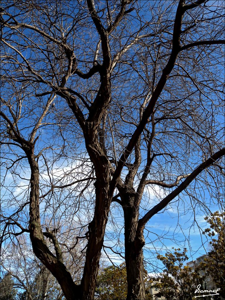 Foto de Zaragoza (Aragón), España