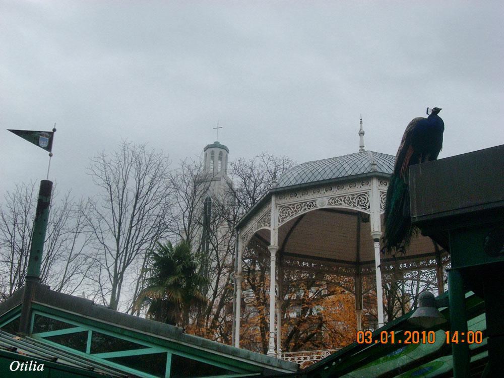 Foto de Oviedo (Asturias), España