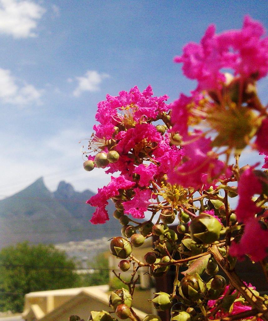 Foto de Monterrey, México
