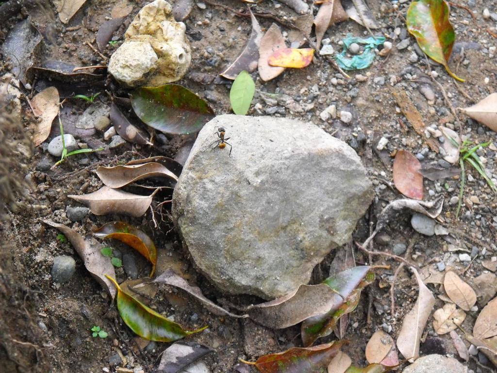 Foto de Tabasco, México