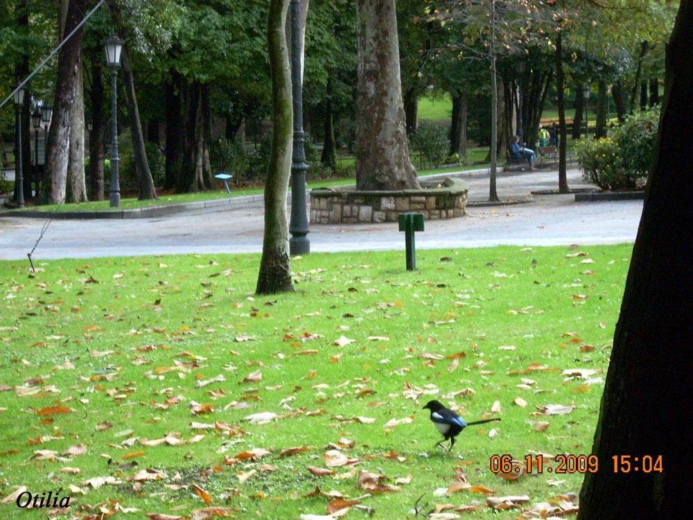 Foto de Oviedo (Asturias), España