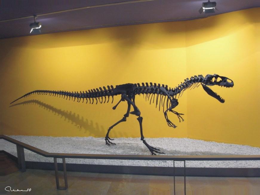 Foto de Valencia (València), España