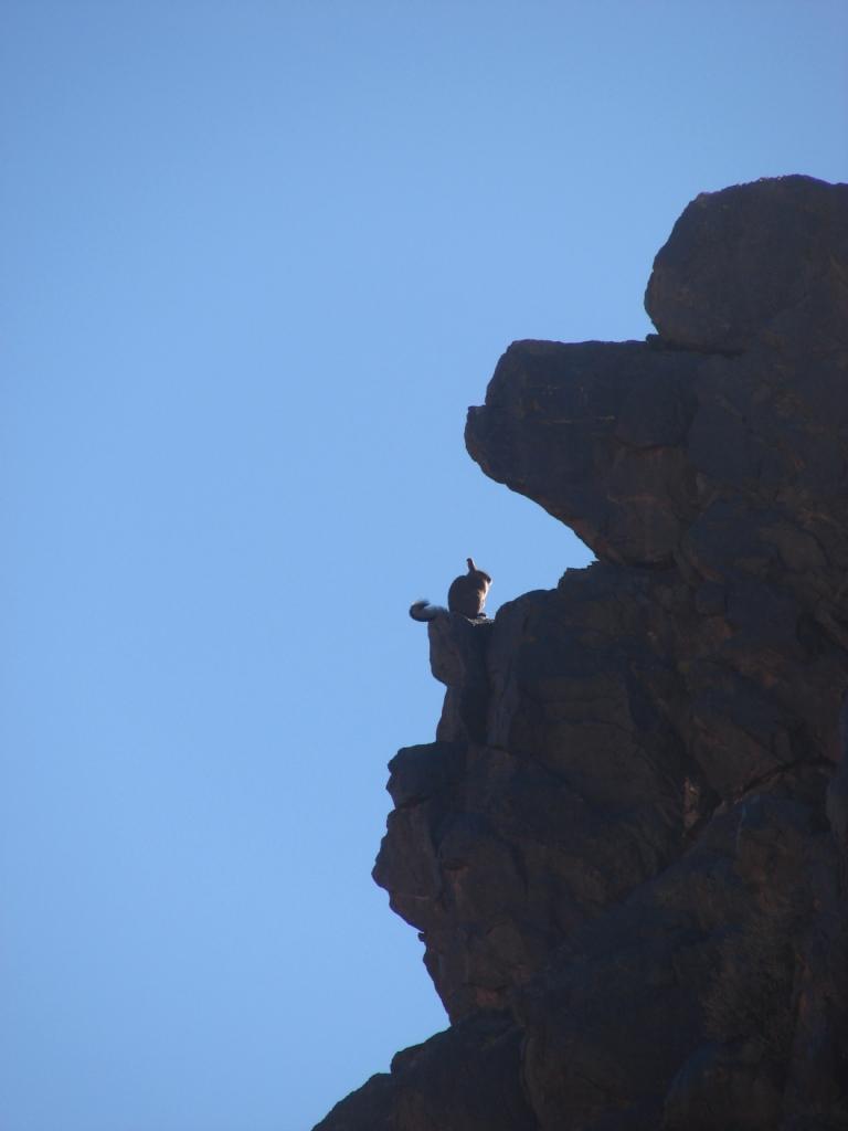 Foto de Jagüe, Argentina