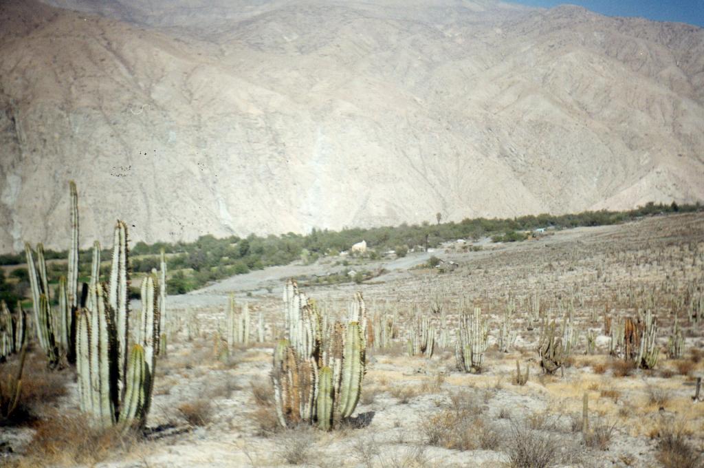 Foto de Pacaychacra, República Checa