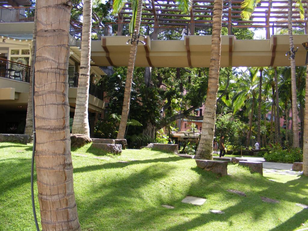 Foto de Waikiki (Oahu) (Hawaii), Estados Unidos