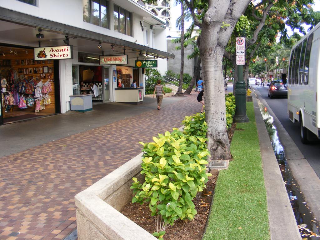 Foto de Waikiki (Oahu) (Hawaii), Estados Unidos